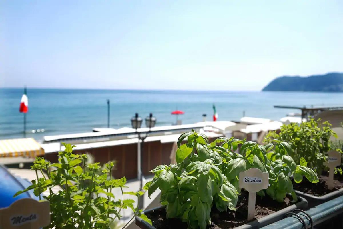 Alassio Vayadu' Arabesque Hotel Exterior photo